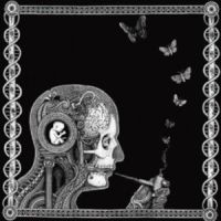 Soen - Cognitive